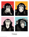 The Chimp Pop Art Mini Poster
