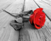 Red Rose On Wooden Deck Mini Poster
