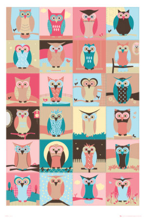 Owls Compilation