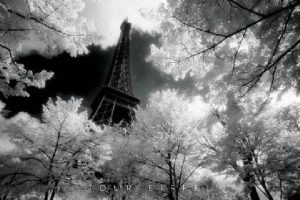 Paris Eiffel Tower Through Trees Poster