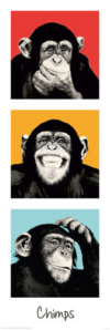 Chimp Pop