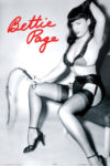 Bettie Page Whip Poster