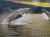 Whales Ascent Poster
