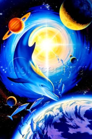 Dolphins Astral Poster