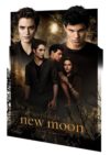 Twilight New Moon Edward, Bella and Jacob Large 3D Poster