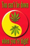 You Can't Be Down When You're High