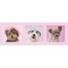 Canine Cuties Slim Poster