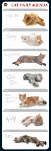 Cat Daily Agenda Slim Poster