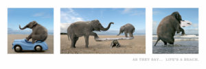 Elephant Life's A Beach Elephants Slim Poster