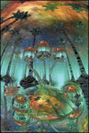 Magic Mushrooms Poster