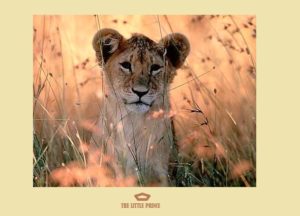 The Little Prince Lion Poster
