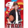High School Musical 1 Troy Basketball Poster