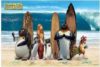 Surfs Up Poster