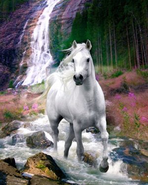Horse Waterfall Mini Poster
