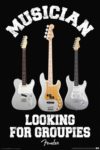 Fender Groupies