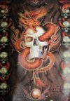 Orange Skull Dragon Poster