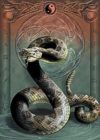 Yin Yang Snake Poster