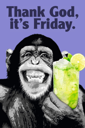 The Chimp Friday