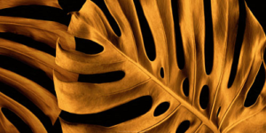 Golden Leaves I Art Print