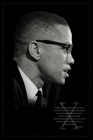 Malcolm X Quote Poster
