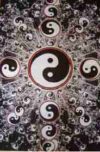 Yin Yang Poster