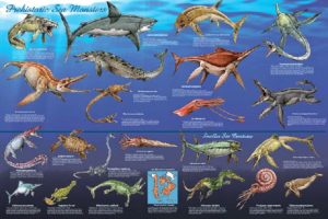 Prehistoric Sea Monsters