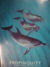 Dolphin Propinquity Poster