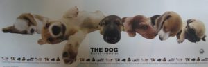 The Dog Artlist Collection Slim Poster