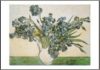 Vincent Van Gogh - Iris, Strauss 1890