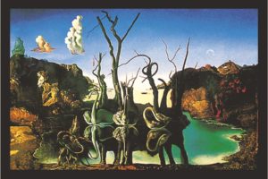 Salvador Dali - Swans Reflecting Elephants Poster