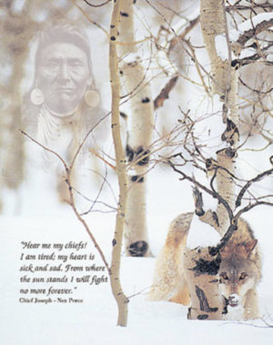 Chief Joseph's Prayer Mini Poster