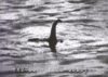The Loch Ness Monster The Surgeon's Photograph 1934 Poster