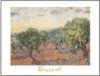 Vincent Van Gogh - The Olive Grove Art Print