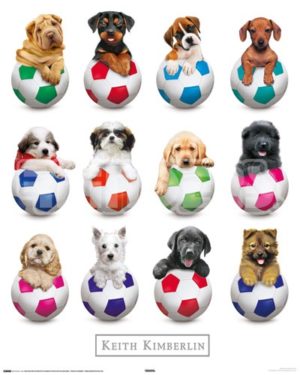 Puppies with Balls