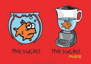 This Sucks Goldfish Poster