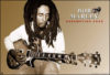 Bob Marley Redemption Song Mini Poster