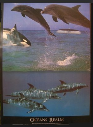 Ocean's Realm Poster