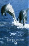 Dolphins Save The Dolphin Poster