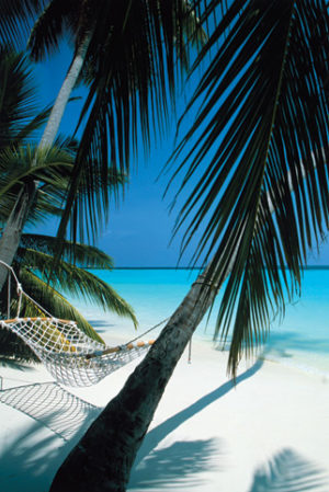Palm View Hammock