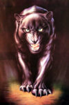Stalking Panther Poster