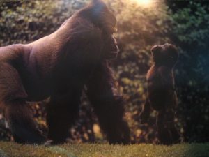 Father and Son