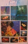 Sea Life Underwater Visions Poster