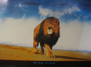 King Lion