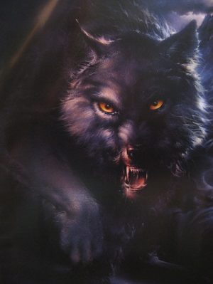 Werewolf Poster