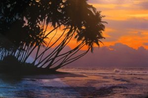 Tropical Sunset Poster