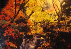 Autumn Waterfall Poster