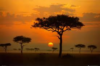 Sunset Plain Poster