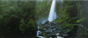 Waterfall I Narrow Poster