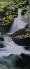 Waterfall III Narrow Poster