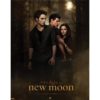 Twilight New Moon Edward, Bella And Jacob Mini Poster